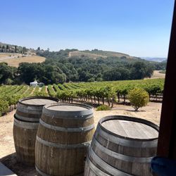 Ecluse Wines - Wonderful views