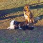 Photo of Animals R Us