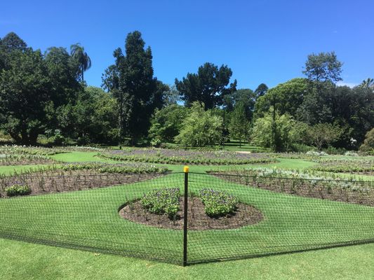 City Botanic Gardens by null