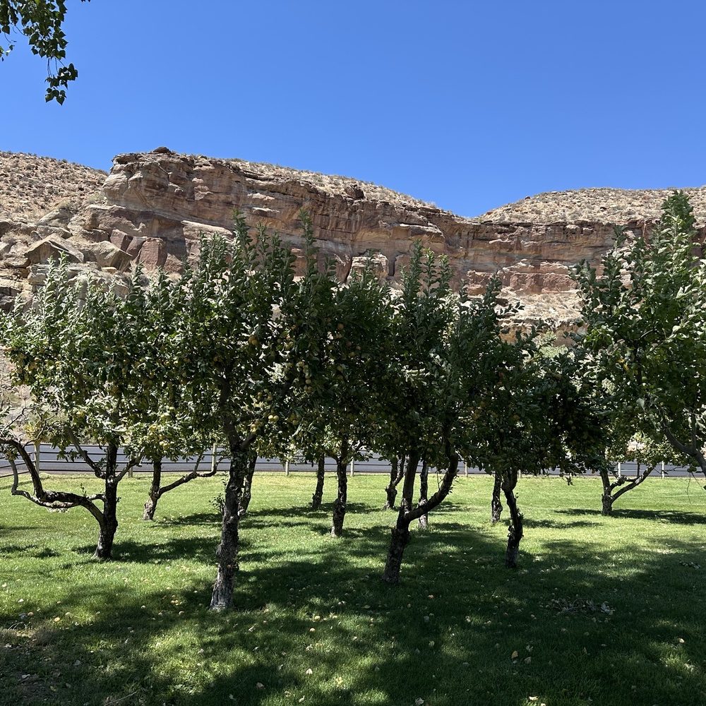 Wild Thyme Bistro At Trees Ranch - Outside the cafe (an orchard, Trees Ranch) - Whiskey Bars Near Me - Springdale, Utah Wild Thyme Bistro At Trees Ranch - Outside the cafe (an orchard, Trees Ranch) - Whiskey Bars Near Me - Springdale, Utah