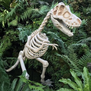 Lincoln Park Conservatory - Parks Near Me - Chicago, Illinois
