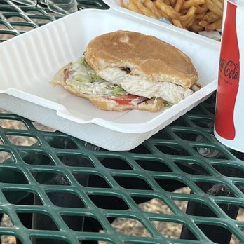 Nemo's - Grilled Chicken Breast sandwich - heard this wa sorry good - Fast Food Near Me - Escalante, Utah
