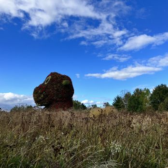 Glenstone - Koons - Art Museums Near Me - Potomac, Maryland