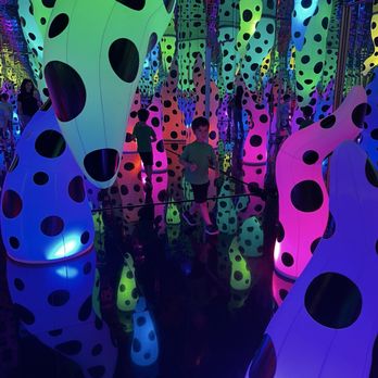WNDR Museum - Japanese art - Art Museums Near Me - Chicago, Illinois