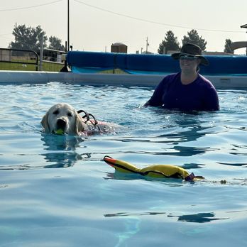 Wahab Animal Wellness - Camas at Pup Idaho learning to swim! - Pet Training Near Me Wahab Animal Wellness - Camas at Pup Idaho learning to swim! - Pet Training Near Me