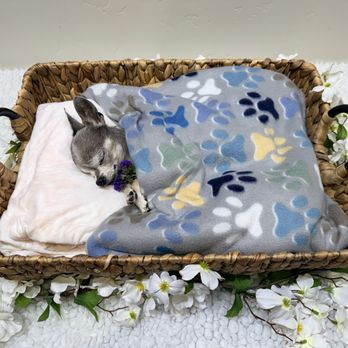 Caring Pet Crematory - Zeus viewing - Pet Cremation Services Near Me - Sacramento, California