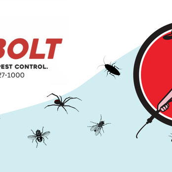 Debolt Termite & Pest Control - Home Inspectors Near Me - Hemet, California Debolt Termite & Pest Control - Home Inspectors Near Me - Hemet, California