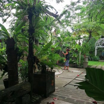 My Lola Nor's Meryendahan - I am dwarfed by the towering tree ferns, palms and bamboo. - Filipino Near Me - Mabalacat, PAM