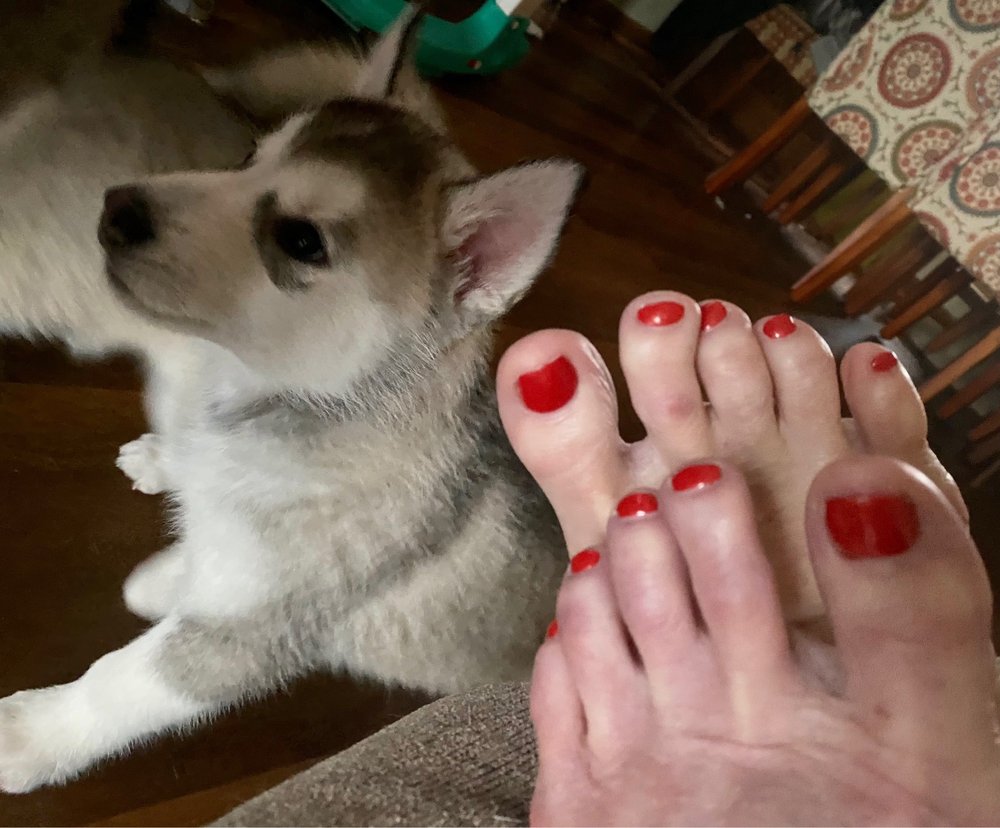 IMPRESS NAILS Updated October 2024 11 Photos 168 Tyler Rd S, Red