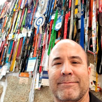 Casa De Pasto O Golfinho - the back wall with the ID cards for congress - Restaurants Near Me