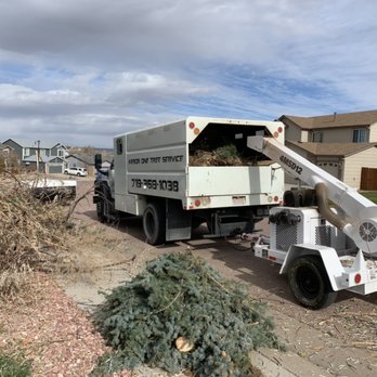 Arbor One Tree Service - Free estimates! - Tree Services Near Me Arbor One Tree Service - Free estimates! - Tree Services Near Me