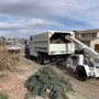 Arbor One Tree Service