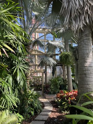 Rawlings Conservatory by null