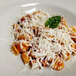 Ristorante Al Dragone - Typical Orecchiette alla Viestana with fresh tomato, cacioricotta cheese and basil. A great vegetarian solution for your kid and for you too