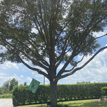 Campbell Outdoors - Tree Services Near Me Campbell Outdoors - Tree Services Near Me