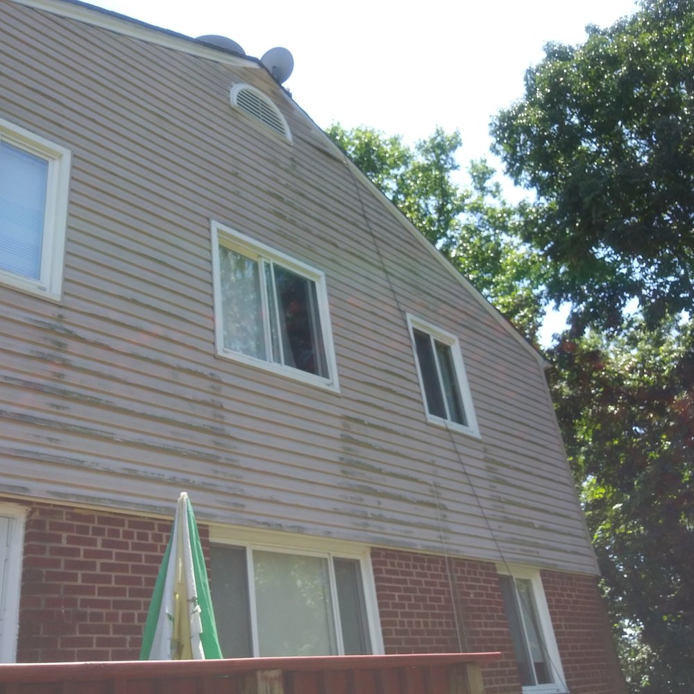 Baltimore Powerwash - Before pic with tree grime - Pressure Washers Near Me - Towson, Maryland Baltimore Powerwash - Before pic with tree grime - Pressure Washers Near Me - Towson, Maryland