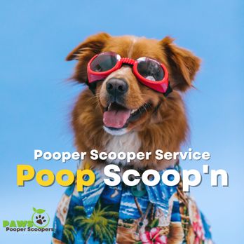 PAWS Pooper Scoopers - Website:
https://www.pawspooperscoopers.com
Find us on Google Maps:
https://goo.gl/maps/tkkFpVtJGFdLGLe9A - Pet Waste Removal Near Me - Fort Worth, Texas PAWS Pooper Scoopers - Website:
https://www.pawspooperscoopers.com
Find us on Google Maps:
https://goo.gl/maps/tkkFpVtJGFdLGLe9A - Pet Waste Removal Near Me - Fort Worth, Texas