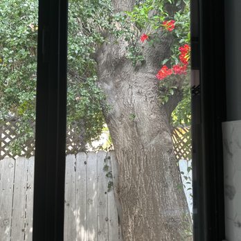 Earth Organic Cleaning Services - Kitchen window - Home Cleaning Near Me