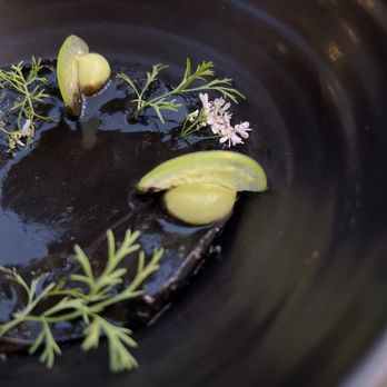 Valle - ceviche negro - Wine Bars Near Me - Oceanside, California Valle - ceviche negro - Wine Bars Near Me - Oceanside, California