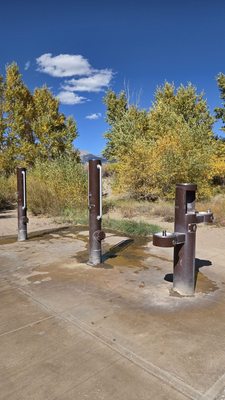 Piñon Flats Campground by null