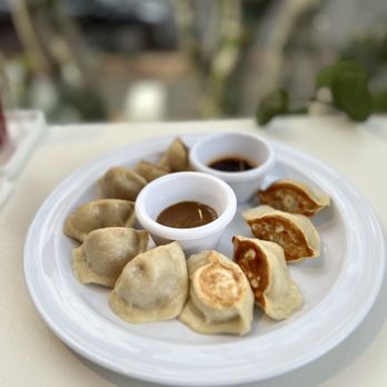 Dodo Dumpling - Pork cabbage dumplings that are pan-fried for that crispy bottoms. - Chinese Near Me - Portland, Oregon Dodo Dumpling - Pork cabbage dumplings that are pan-fried for that crispy bottoms. - Chinese Near Me - Portland, Oregon
