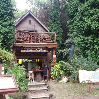 Noi Due - Signature Cuisine Near Me - Mar Azul, C Noi Due - Signature Cuisine Near Me - Mar Azul, C