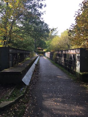 Rothiemurchus by null