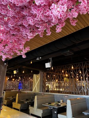 KPOT Korean BBQ & Hot Pot by null