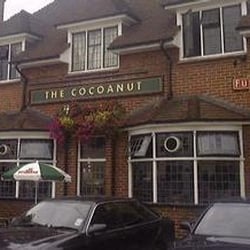 The Cocoanut
