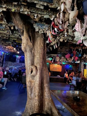 Capt Tony’s Saloon by null