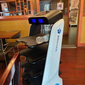 Nama Noodle Bar - Robot waiter! - Ramen Near Me - Wayne, New Jersey Nama Noodle Bar - Robot waiter! - Ramen Near Me - Wayne, New Jersey
