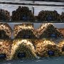 Photo of Hellenic Bakery