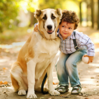 Broadway Pet Hospital - Pet Sitting Near Me - Vallejo, California Broadway Pet Hospital - Pet Sitting Near Me - Vallejo, California