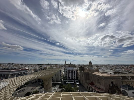 Setas de Sevilla by null