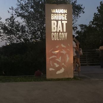 Waugh Drive Bat Colony - Local Flavor Near Me - Houston, Texas Waugh Drive Bat Colony - Local Flavor Near Me - Houston, Texas