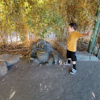 Phoenix Zoo - Zoos Near Me - Phoenix, Arizona Phoenix Zoo - Zoos Near Me - Phoenix, Arizona