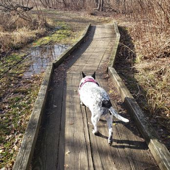 Amico Island State Park - Hiking Near Me - Delran, New Jersey
