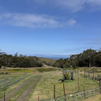 Kates Berry Farm - Farms Near Me - Swansea, TAS Kates Berry Farm - Farms Near Me - Swansea, TAS