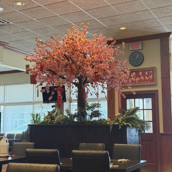 Dot Wo - Chinese Near Me - Oklahoma City, Oklahoma