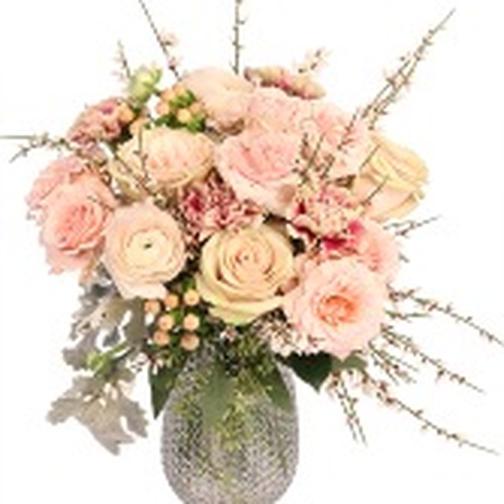Corner Florist and Gifts - What I ordered from website - Florists Near Me - Searcy, Arkansas Corner Florist and Gifts - What I ordered from website - Florists Near Me - Searcy, Arkansas