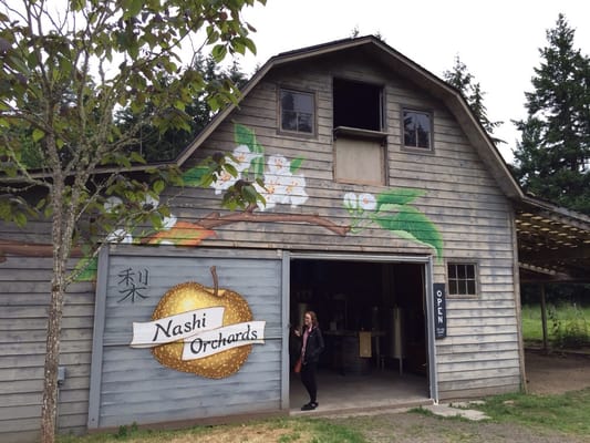 Nashi Orchards Tasting Room by null
