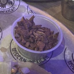 Grasshoppers! Grasshoppers!