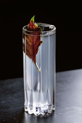 Meridian by null Meridian by null