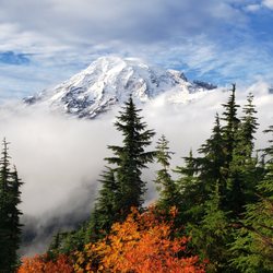 Sehome Eye Care - Beautiful Mt. Rainier; photo taken by Dr. Redick!