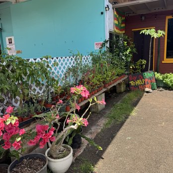 Peruvian Corner Hawaii - Peruvian Near Me - Waialua, Hawaii Peruvian Corner Hawaii - Peruvian Near Me - Waialua, Hawaii