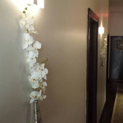 Palmetto spa