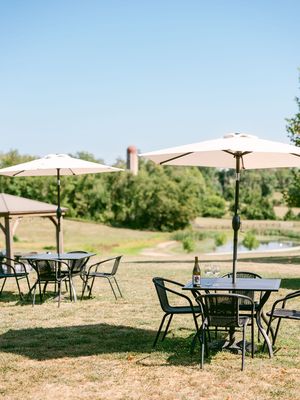 Slater Run Vineyards by null