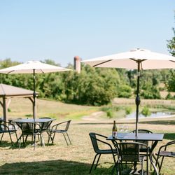 Slater Run Vineyards