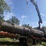 Photo of Cannon Tree Service