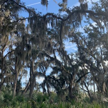 Skidaway Island State Park - Parks Near Me - Savannah, Georgia Skidaway Island State Park - Parks Near Me - Savannah, Georgia